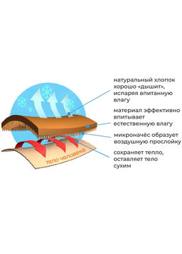 MP600320нач ТЕРМ Кальсоны мужские 182 - Clever wear фото 3