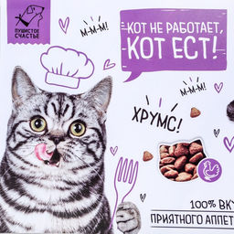 Коврик под миску «Кот не работает, кот ест!» 43×28 см