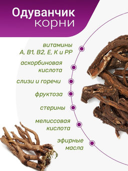 Корень одуванчика - Травы горного крыма фото 7