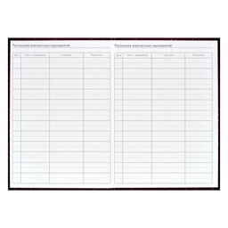 Ежегодник учителя арт. 62336 БОРДОВАЯ ФАКТУРА - Феникс+ фото 9