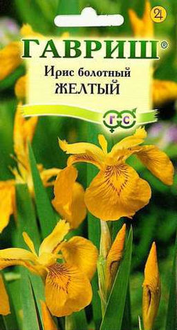 Ирис Желтый болотный 3шт 70-80см (г)