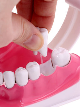 Набор для опытов Анатомия, челюсть человека - Эврики фото 9