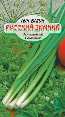Русский зимний лук батун 0,5гр (ссс) Р