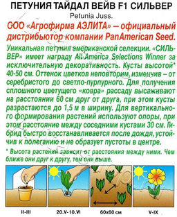 Петуния Тайдал Вейв F1 сильвер 4шт. (Аэлита) - Самарские семена фото 2