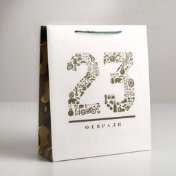 Цена за 2 шт. Пакет подарочный ламинированный, упаковка, «23 февраля», M 26×30×9 см