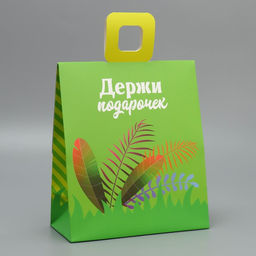 Пакет с формовым клапаном Львенок, 23 27 11.5 см - Дарите счастье фото 4