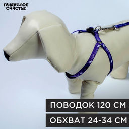 Комплект Мур! Мур!, шлейка 24-34х1 см, поводок 120 см