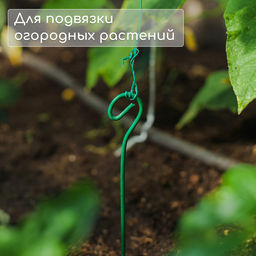Цена за 10 шт. Колышек для подвязки растений, h=40 см, d=3 мм см, проволочный, зелёный, Greengo  фото 4