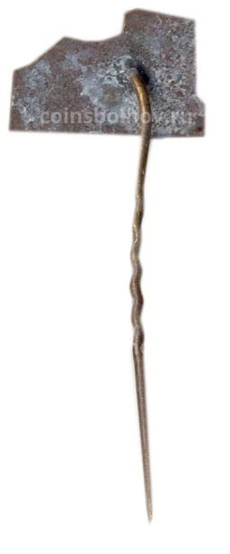 Значок Каунас