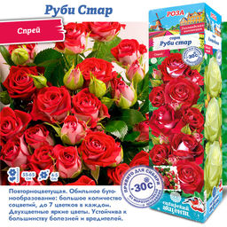 Роза Руби Стар (Спрей) 1шт