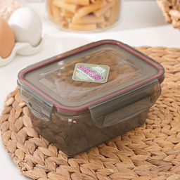 Контейнер для хранения еды Виолет, 800 мл, герметичный, пластик, серый