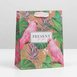 Пакет подарочный крафтовый вертикальный, упаковка, «Present for you», MS 18 х 23 х 8 см