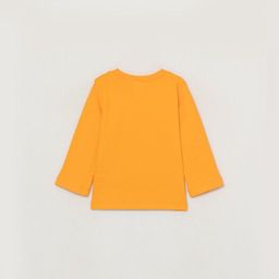 CRB wear/CWNB 62833-29-285 Джемпер для мальчика, оранжевый/Ex.Cherubino фото 4