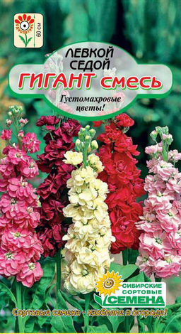 Гигант седой, смесь левкой 0,1гр (ссс)