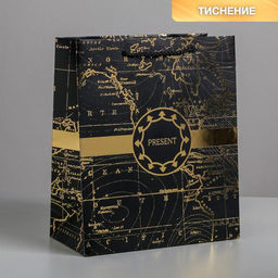 Цена за 2 шт. Пакет подарочный ламинированный, упаковка, Gold present, ML 23 х 27 х 11.5 см