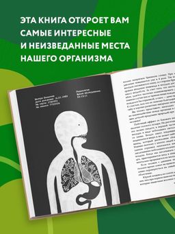 Очаровательный кишечник. Как самый могущественный орган управляет нами - Эксмо фото 25