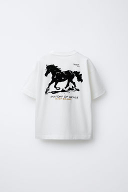 CAMISETA ESTAMPADA CABALLO FLOCK / Blanco - Zara фото 2