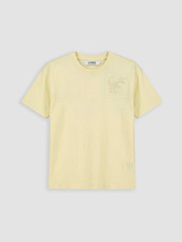 Dinozor Bask?l? Erkek ?ocuk Ti??rt ve ?ort Tak?m