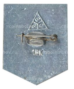 Значок Владимир