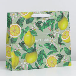 Пакет крафтовый горизонтальный Лимончики, M 30 х 26 х 9 см