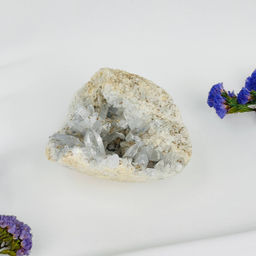 Друза Целестина