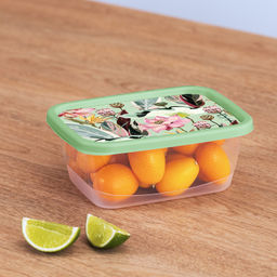 Цена за 2 шт. Контейнер для продуктов прямоугольный 0,85л с декором (зеленый) 222132118/08