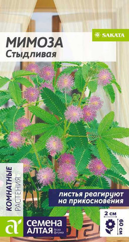 Мимоза Стыдливая 0,1г (Семена Алтая)