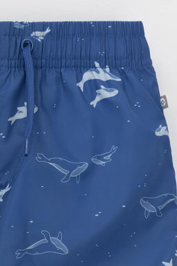 ТК 19012/4н ФВ купальн шорты для мал - Crockid фото 2