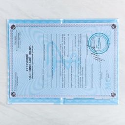 Папка для медицинского полиса Мишка для мальчика, 17,5 х 11,3 см - Simaland фото 8