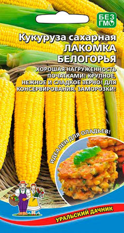 Кукуруза ЛАКОМКА БЕЛОГОРЬЯ Сахарный тип! Хорошая нагруженность початками! Крупное, нежное и сладкое зерно! Для консервирования и заморозки!