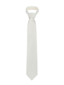 Галстук мужской с платком CARPENTER Carpenter-poly 8-айвори 402.1.09  фото 4