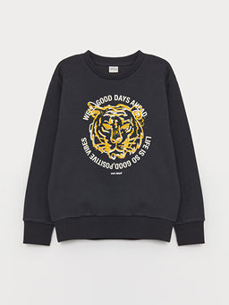 Bisiklet Yaka Bask?l? Uzun Kollu Erkek ?ocuk Sweatshirt - Waikiki фото 3