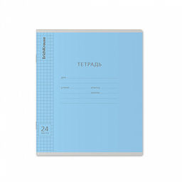 Цена за 160 шт. Тетрадь школьная ученическая ErichKrause Классика Visio ассорти, 24 листа, линейка (в плёнке по 10 шт.) фото 37