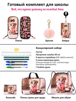 Рюкзак SkyName set-R1-081 + мешок для обуви, папка, пенал, кошелек, бейдж,канц. набор,брелок помпон  фото 15
