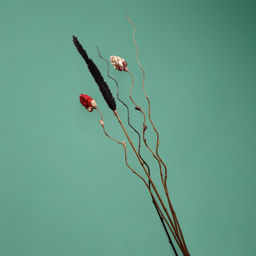 Сухоцвет на бамбуковом стебле, 150 см, белый