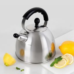 Чайник TalleR TR-11342 Норман 2,5 л  фото 2