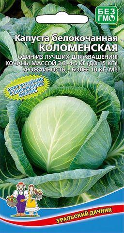 Капуста КОЛОМЕНСКАЯ  Сорт устойчив к поражению килой! Один из лучших для квашения! Урожайность более 10 кг с каждого метра!