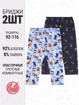 2бриджей 2ДБР5717804н