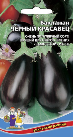 Баклажан ЧЁРНЫЙ КРАСАВЕЦ