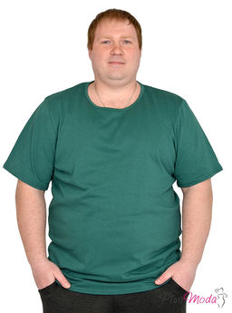 Мужская футболка Модель №618 размеры 44-84