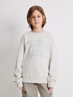 ACOOLA / Джемпер детский для мальчиков Horrigan_sw светло-серый