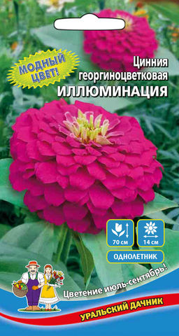 Цинния ИЛЛЮМИНАЦИЯ  Георгиноцветковая