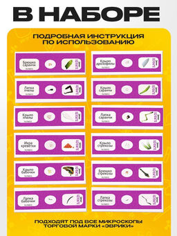 Набор для опытов «Набор микропрепаратов», насекомые