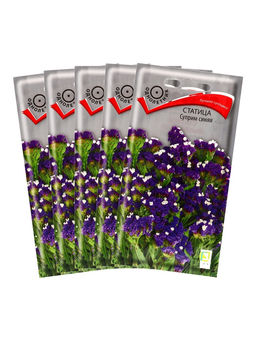 Набор семян Статица "Суприм синяя", 5 шт.