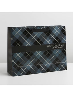 Пакет подарочный ламинированный, упаковка, Man, L 40?31?11.5 см