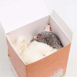 Цена за 30 шт. Мышь из натурального меха, 7,5 см, микс белая/серая, фасовка 30 шт - Пижон фото 6