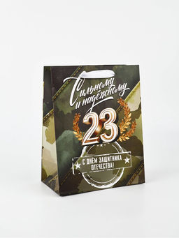 Цена за 2 шт. Пакет подарочный ламинированный «23 февраля», MS 18×23×10 см