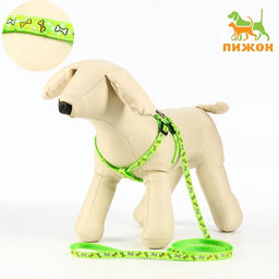 Комплект Звёздные косточки, поводок 120 х 1 см, ОГ 23-35 см, зелёный