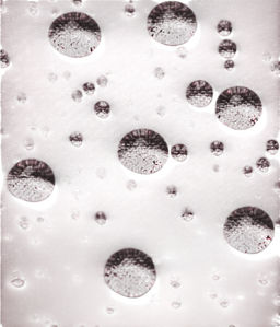 Ветровка мужская