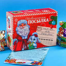 Сладкий детский подарок Новогодняя посылка: конфеты 300 г